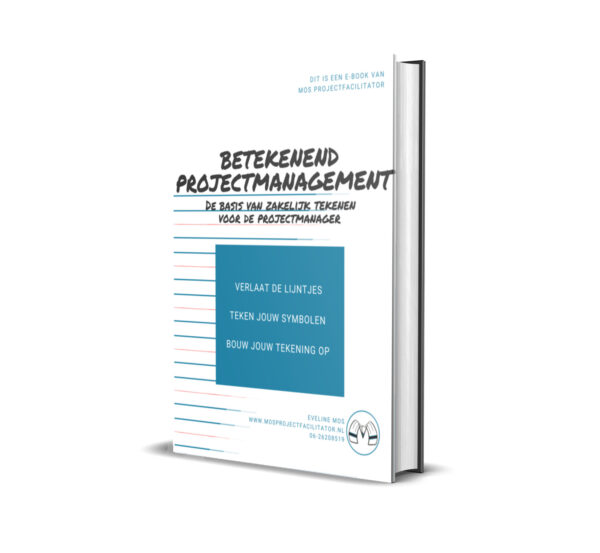 e-book Betekenend Projectmanagement